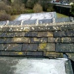 Roof in need of repair