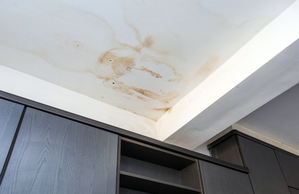 Emergency Roof Repairs Emergency Roof Repairs